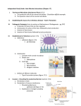 Study Guide 13 - Host-Microbe Interactions