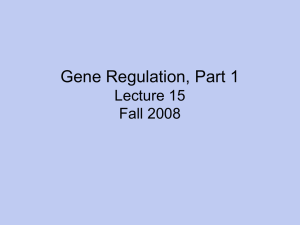 L15 Gene Regulation Part1 Fa08
