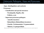 a10b AlgaeProtozoa