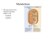 BIO260bacterial metabolism