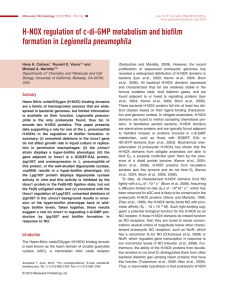 Mol Microbiol. Jun 21. [Epub ahead of print]