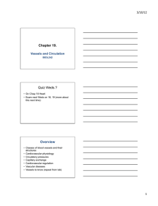 BIOL242Chap19VesselsOCT2012