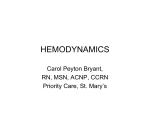 081013.HEMODYNAMICS