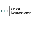 Ch02B Neuroscience
