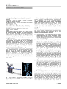 c089-2009-cars-vasculature
