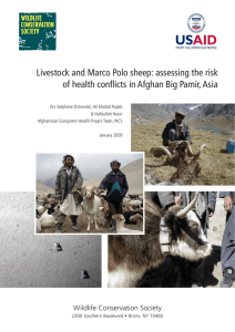 Livestock and Marco Polo sheep: assessing the risk of health