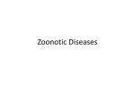 zoonotic dzs