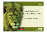 FMD in wildlife - A Kenyan Situation