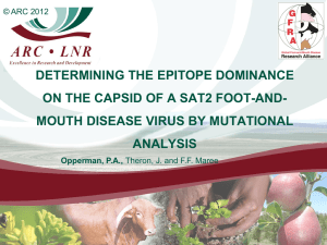 Determining the epitope dominance on the capsid of a SAT2 fmdv by mutational analysis, P.A.Opperman