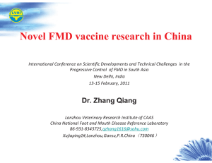Novel FMD vaccine research in China
