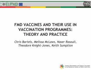 FMD vaccines and their use in vaccination programmes: theory and practice