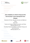 Does adaptation to climate change provide food security? A micro-perspective from Ethiopia: Working Paper 19 (334 kB) (opens in new window)