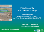 Food Security and Climate Change HLPE Presentation