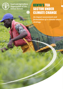 Kenya's Tea Sector under Climate Change: An impact assessment and formulation of a climate-smart strategy