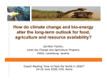 How do climate change and bio-energy alter the long-term outlook for food, agriculture and resource availability?