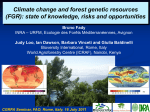 Climate change and forest genetic resources (FGR): state of knowledge, risks and opportunities