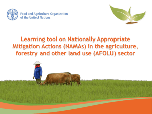 Learning tool on Nationally Appropriate Mitigation Actions in agriculture, forestry and other land use sector
