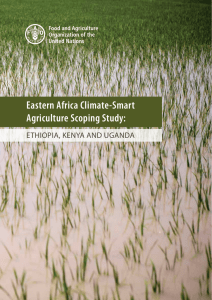 Eastern Africa Climate-Smart Agriculture Scoping Study: Ethiopia, Kenya and Uganda