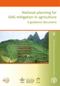 National Integrated Mitigation Planning in Agriculture: A guidance document