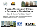 Tracking Phenological Changes to Plants in Response to Climate Change