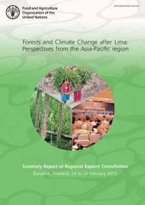 Forests and climate change after Lima: Perspectives from the Asia-Pacific region