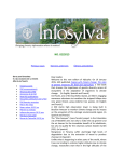 Infosylva 02/2015