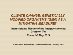 Climate change: Genetically Modified Organisms (GMO) as a mitigating measure?