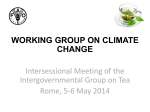 Working group on climate change
