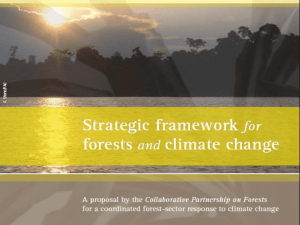 Collaborative Partnership for Forests (CPF) Strategic Framework for Forests and Climate Change