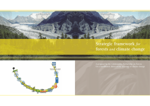 CPF - AWG/LCA - Strategic framework for forests and climate change (February 2009)