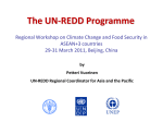 The UN-REDD Programme