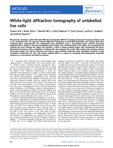 White-light diffraction tomography of unlabelled live cells