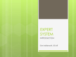 expert system - Dwi Rolliawati