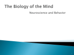 Ch.02 - Biology of the Mind