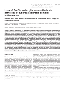 Way SW, McKenna J 3rd, Mietzsch U, Reith RM, Wu HC, Gambello MJ. Loss of Tsc2 in radial glia models the brain pathology of tuberous sclerosis complex in the mouse. Human Molecular Genetics. 2009 Apr 1; 18(7):1252-65.