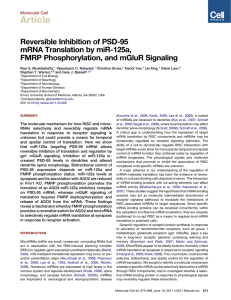 Muddashetty RS, Nalavadi VC, Gross C, Yao X, Xing L, Laur O, Warren ST, and Bassell GJ. Reversible Inhibition of PSD-95 mRNA Translation by miR-125a, FMRP Phosphorylation, and mGluR Signaling. Molecular Cell 42: 673-688 (June 2011).