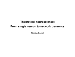 Theoretical Neuroscience: From Single Neuron to Network Dynamics