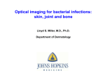 Optical imaging for bacterial infections: Skin, joint and bone