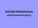 sistem pernafasan - Ikuti “mblarah.wordpress.com”