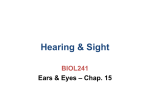 BIOL241HearingSight10JUN2013