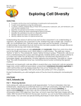 2 Cell Diversity