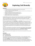 Lab 2: Cell Diversity