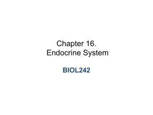 BIOL242Ch16EndocrineSEP2012