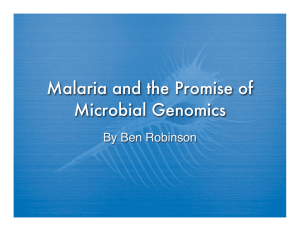 Malaria and the Promise of Microbial Genomics