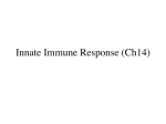 Ch14 innateimmunityHO