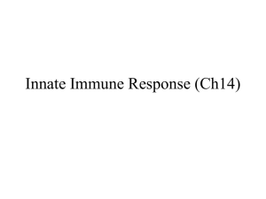 Ch14 innateimmunity