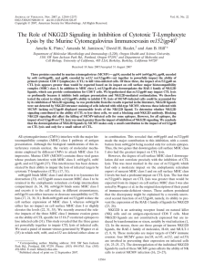 Pinto, A. K., A. M. Jamieson, D. H. Raulet, and A. B. Hill. 2007. The role of NKG2D signaling in inhibition of cytotoxic T-lymphocyte lysis by the Murine cytomegalovirus immunoevasin m152/gp40. J. Viro 81:12564-12571 .