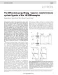 Gasser, S., S. Orsulic, E.J. Brown, and D.H. Raulet. 2005. The DNA damage pathway regulates innate immune system ligands of the NKG2D receptor. Nature 436(7054):1186-1190.