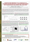 Targeting FMDV minigenes to SLA II positive cells enhances the induction of cellular responses (...)