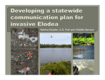 Developing a Statewide Communication Plan for Invasive Elodea